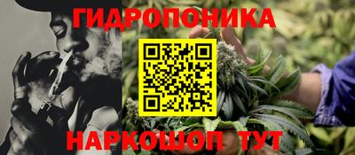 СК Краснокаменск