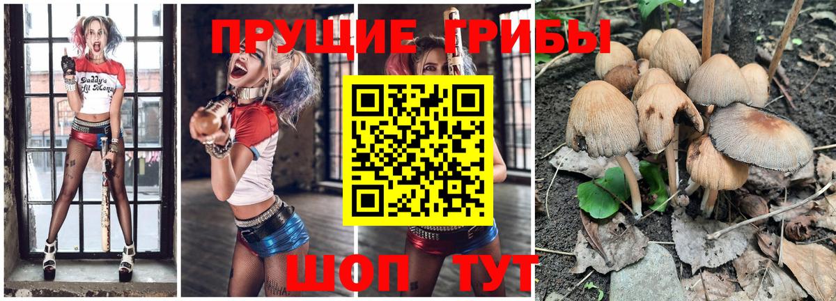 Псилоцибиновые грибы GOLDEN TEACHER  Псилоцибиновые грибы мицелий  где можно купить наркотик  Вход с VPN  Шадринск 